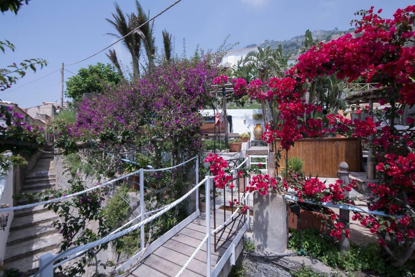 Perla Nel Blu Villa Affacciata Sul Mare Conca dei Marini Luaran gambar